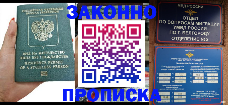 прописка для кредита в Курчатове